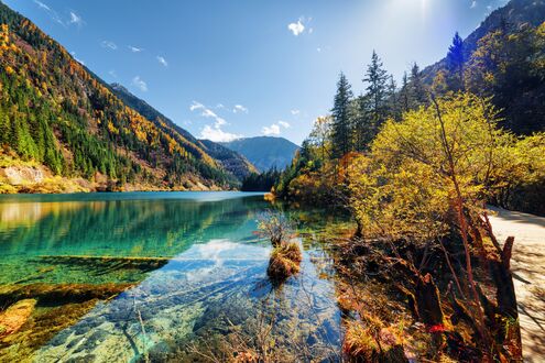 Обои на рабочий стол Долина Цзючжайгоу / Jiuzhaigou Valley, Китай / China, прозрачная бирюзовая вода озера, на фоне гор, покрытых осенним лесом с желтой и зеленой листвой, под голубым небом и солнцем
