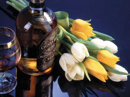 Обои на рабочий стол Бутылка виски Chivas Regal и бокал с напитком на переднем плане, рядом букет из желтых и белых тюльпанов на темном фоне