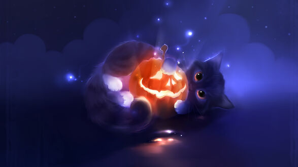 Обои на рабочий стол Кот обнимает светящийся светильник Джека, символ Halloween, на фоне темного синего неба со звездами и облаками