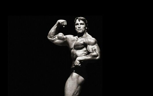Обои на рабочий стол Arnold Schwarzenegger / Арнольд Шварцнеггер, позирует в темных плавках на черном фоне