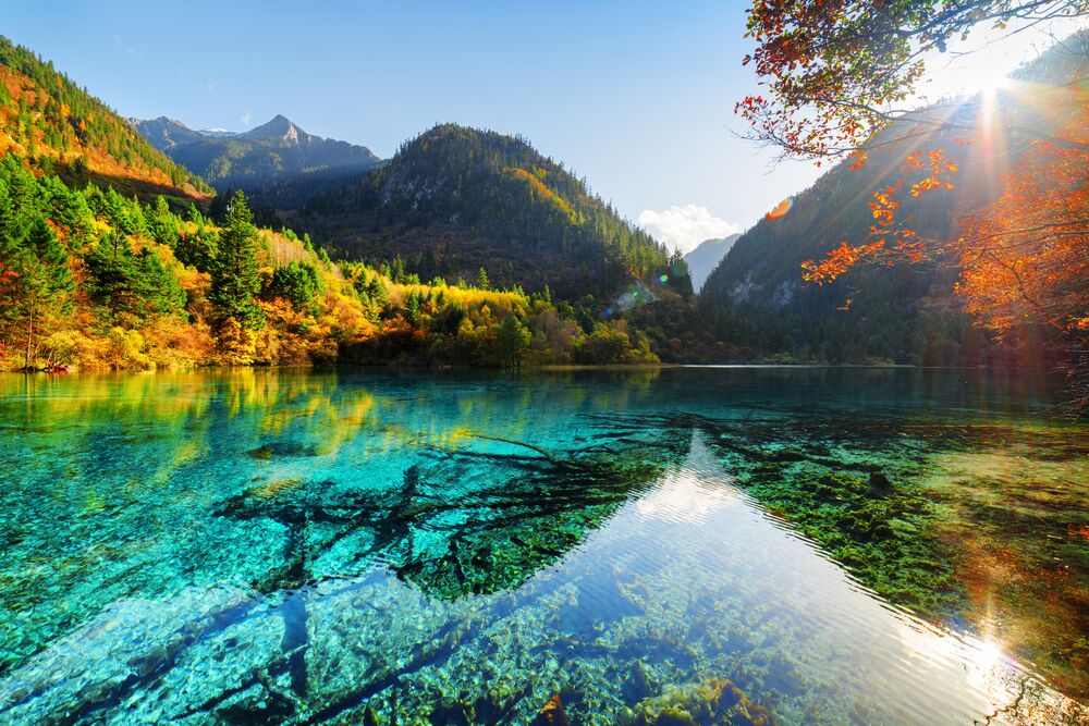 Обои для рабочего стола Jiuzhaigou Valley / Jiuzhaigou Valley, Китай / China, прозрачная бирюзовая вода озера с видимыми подводными деревьями и растительностью на фоне гор, покрытых осенними деревьями, и яркого солнца, пробивающегося сквозь листву