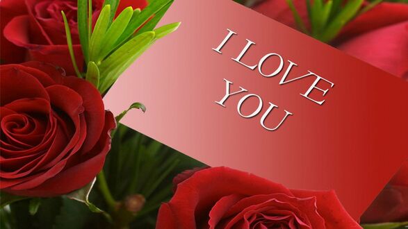 Обои на рабочий стол Красная карточка с надписью (I LOVE YOU) на букете красных роз и зеленых листьев на размытом красном фоне