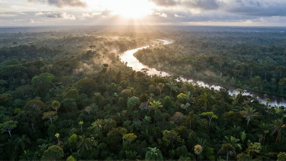 Обои на рабочий стол Река Амазонка / Amazon River, Бразилия / Brazil извивается сквозь густой тропический лес, на фоне облачного неба и солнца с высоты птичьего полета