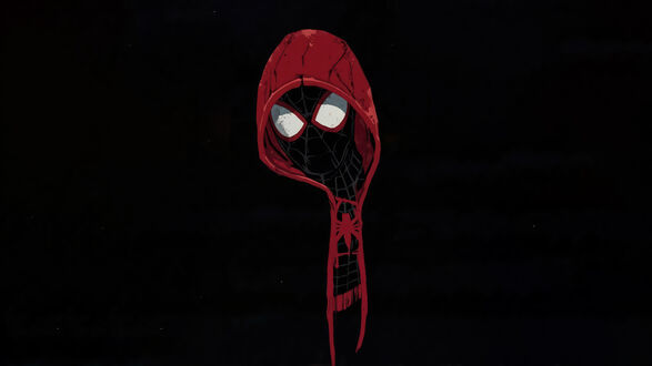 Обои на рабочий стол Майлз Моралес / Miles Morales из фильма Человек-паук: Через вселенные / Spider-Man: Into the Spider-Verse в костюме Человека-паука и красной толстовке на черном фоне