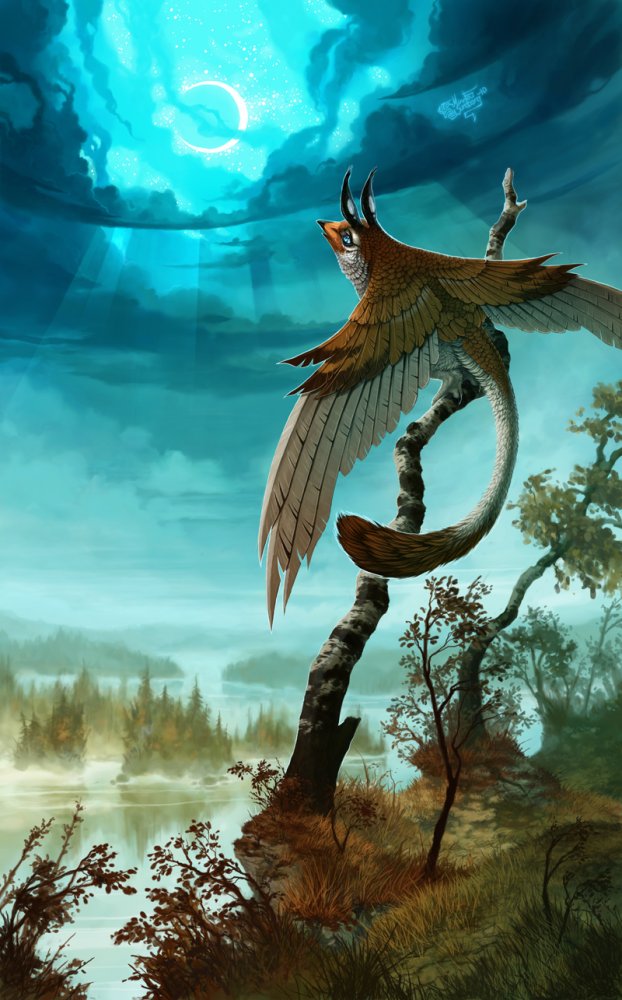 Фото Странная птица с длинных хвостом сидит на дереве