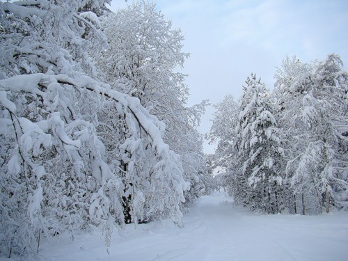 Тверь снег сегодня фото