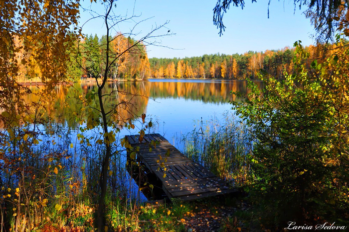 Фото Красивая природа Larisa Sedova / Лариса Седова