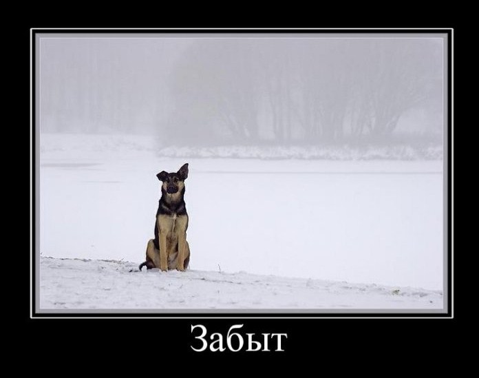 Забыл меня смешные картинки, ивана купала