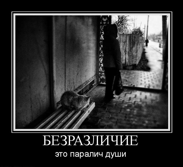 Картинки безразличия с надписями, памперсах картинка открытка