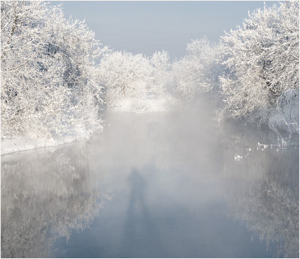 Фото Река, протекающая по зимнему лесу