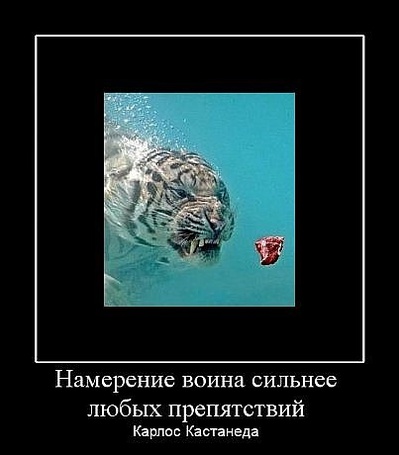 Фото Намерение воина сильнее любых препятствий. (с) Карлос Кастанеда