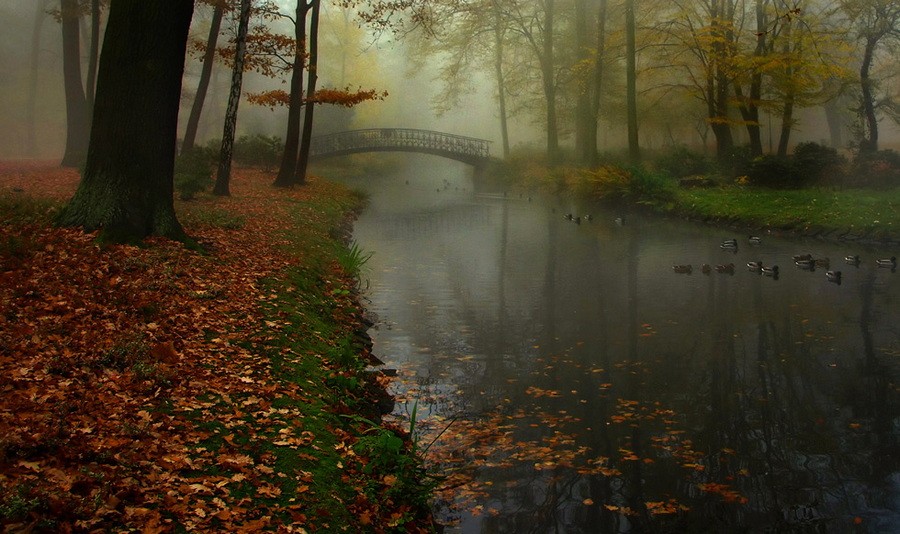 Фото Осенний парк возле речки с мостиком