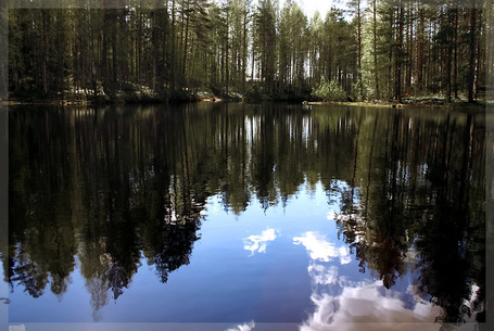 Фото речка в лесу