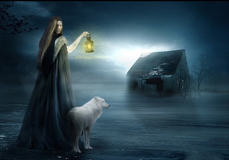 Фото Девушка с белым волком в тумане