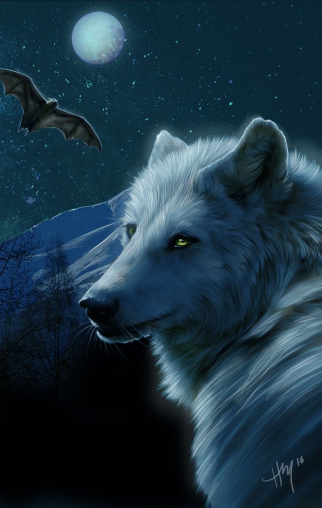 Фото Белый волк