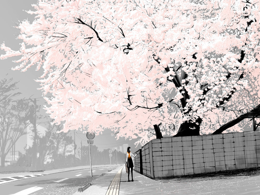 Фото Девушка на улице остановилась возле цветущего дерева сакуры