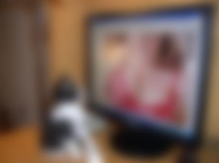 Фото Котёнок смотрит на девушку в мониторе