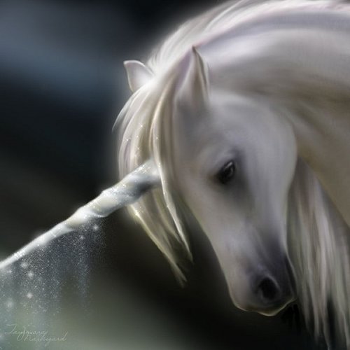 Фото Красивый белый конь