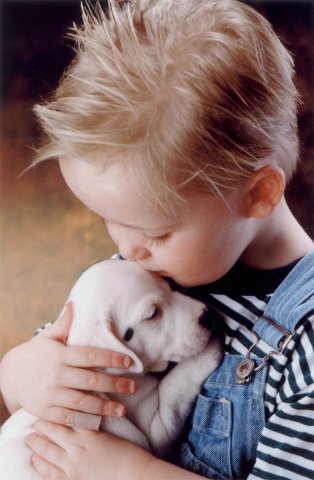 Фото Мальчик с собакой