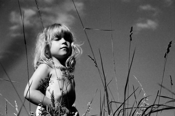 Фото Девочка в поле