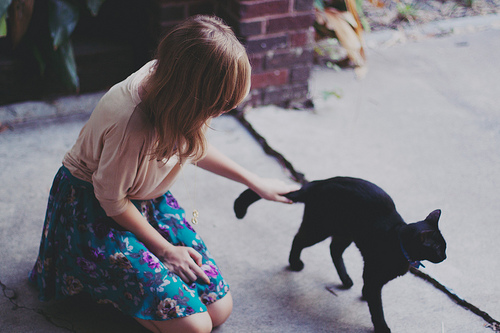 Фото Девушка гладит черного кота, сидя на земле