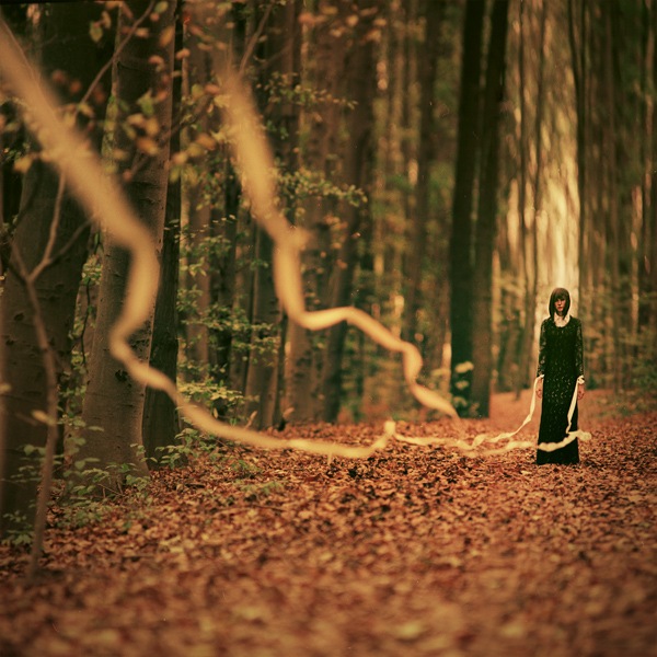 Фото Девушка в лесу с ленточками