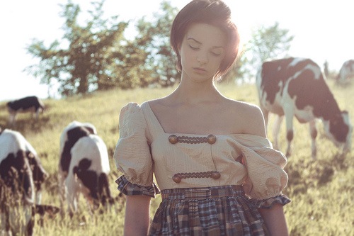 Фото Девушка среди коров