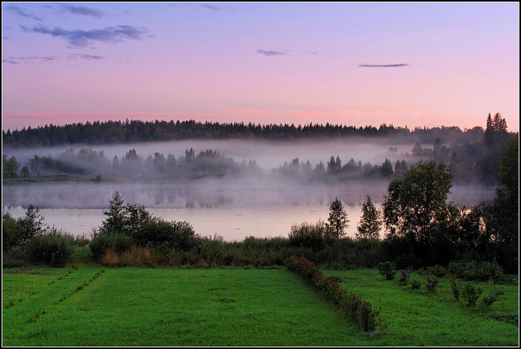 Флокс сиреневый туман фото