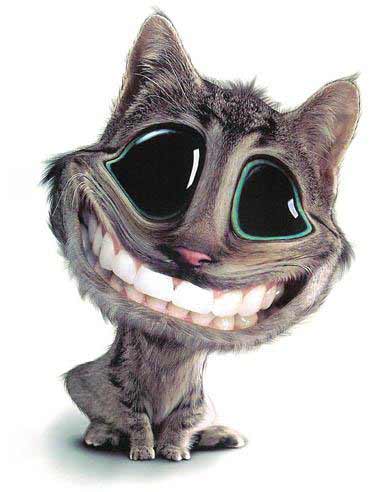 Фото Улыбающийся кот с человеческими зубами