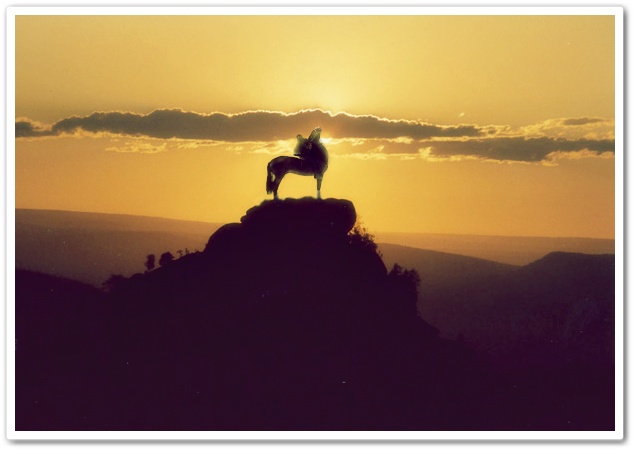 Фото Мифическое существо стоит на вершине холма