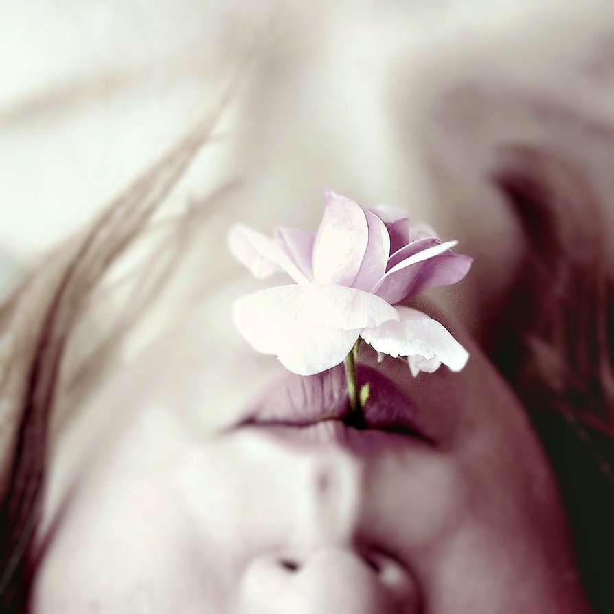 Красивое молчание. Цветок во рту. Девушка с цветком во рту. Фотосессия с цветком во рту. Девушка с цветком во рту Эстетика.