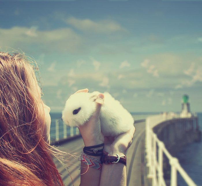 Фото Девушка держит в руках белого кролика