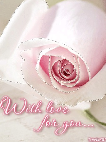 Фото Нежная роза (With love for you...)
