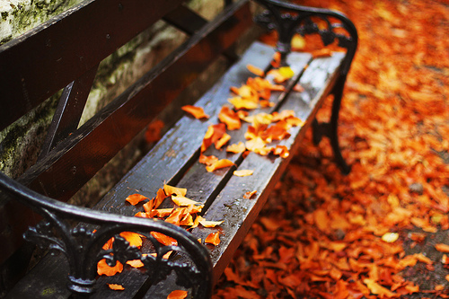 Осенняя Скамейка Фото