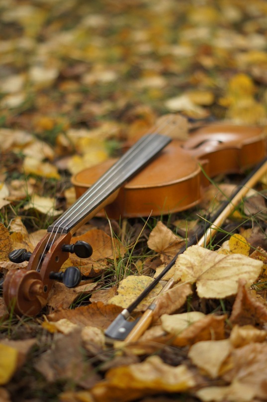 Осенние скрипки. Скрипка осень. Скрипка осенние листья. Музыкальная осень. Мелодии осени.