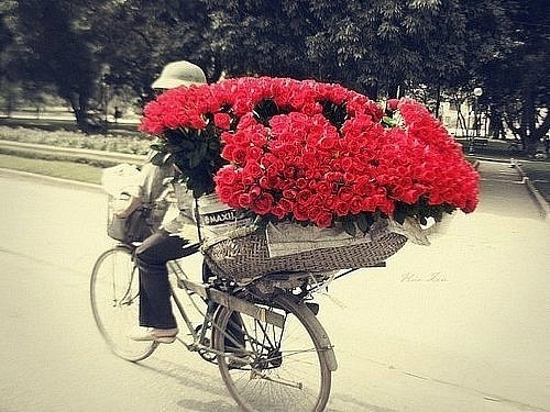 Фото Велосипедист с громадными букетами красных роз