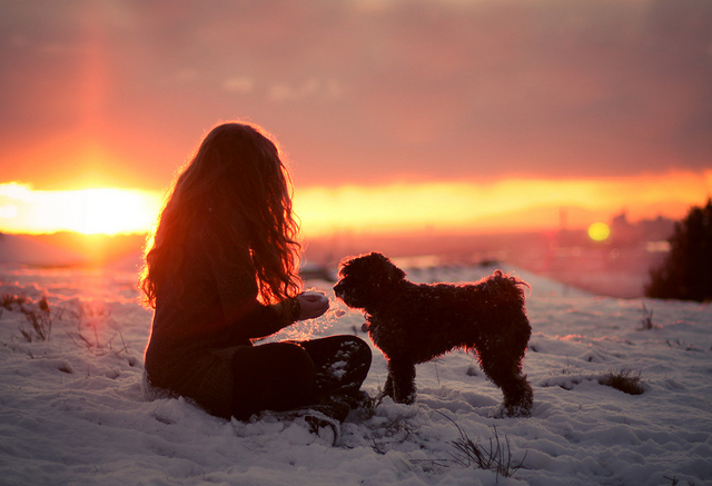 Фото Девушка с собакой зимнем вечером