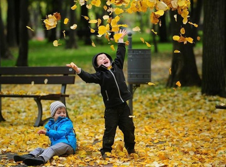 Фото Дети играют с листьями