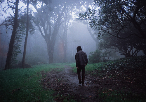 Фото Одинокий парень в лесу