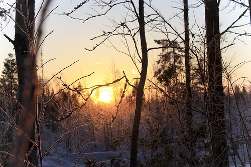 Фото Зимнее солнце