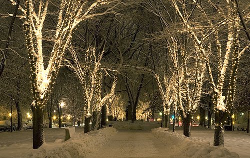 Деревья в гирляндах фото