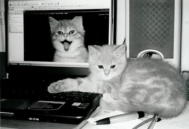 Әдемі латина сиськи