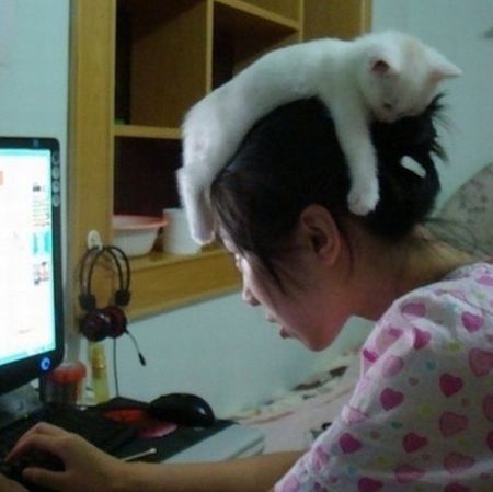 Фото Котенок лежит на голове у девушки, которая сидит за компьютером