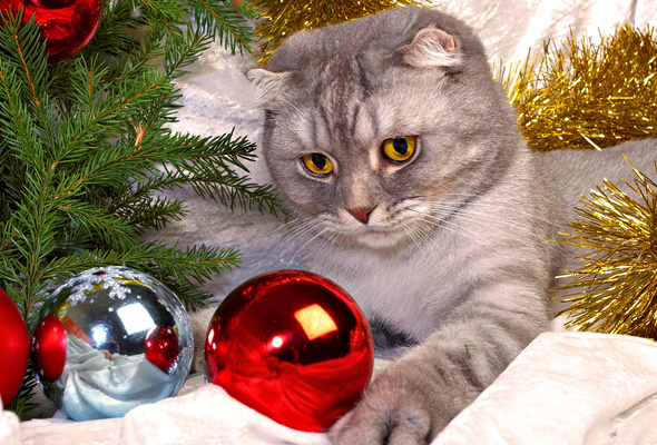 Новогодняя Игрушка Кот Новогодняя Игрушка Кот