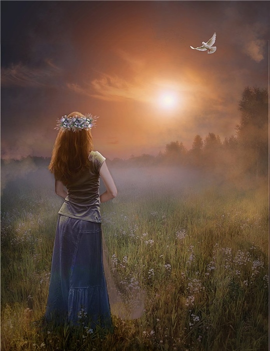 Фото Девушка с венком из цветов на голове стоит в поле и наблюдает за парящим голубем в небе