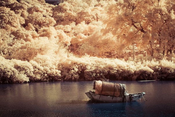 Фото Одинокая лодка в осеннем лесу