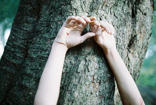 Фото Девушка с руками, заляпанными кровью у дерева
