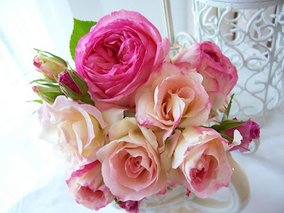 Фото Красивые розы в чашке
