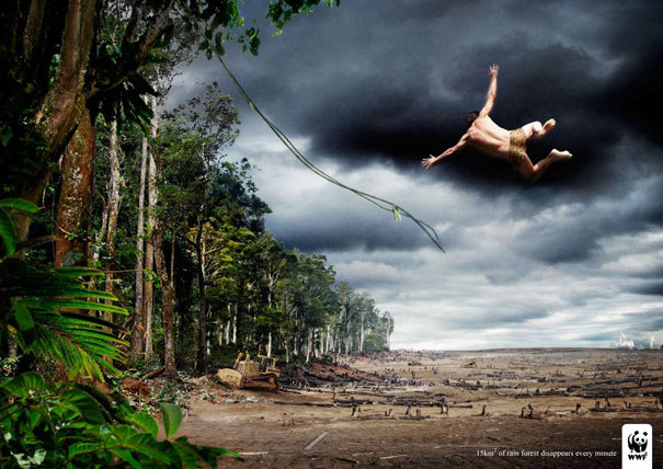 Фото Тарзан упал с лианы, потому что его джунгли вырубили, Принты о спасении мира