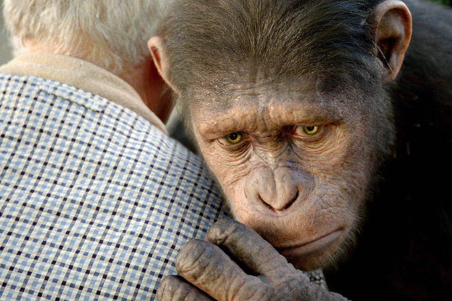 Фото Старик прижимает к себе обезьяну